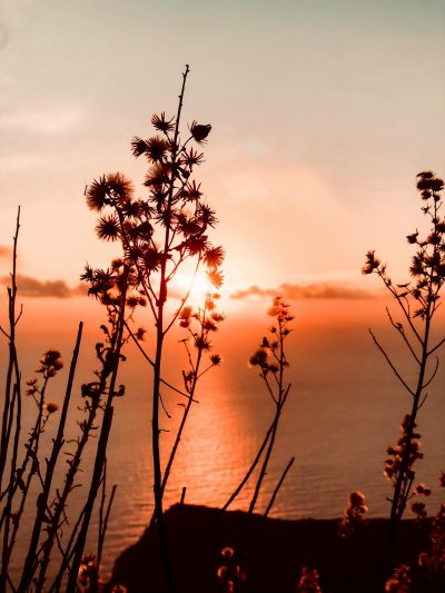 soleil tijespexels-federico-burgalassi-26952144-6805379